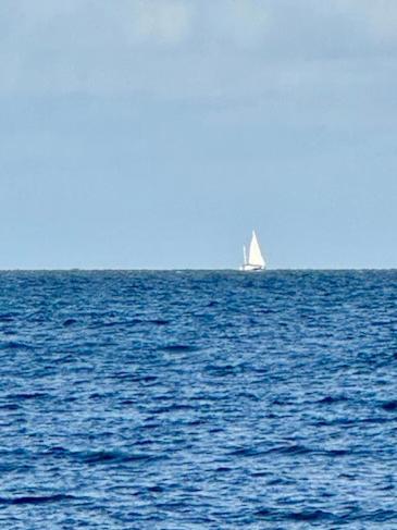 Sandon Point Coastal Cottage Bulli Buitenkant foto